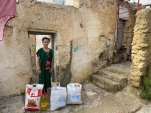 12-colis allementaire