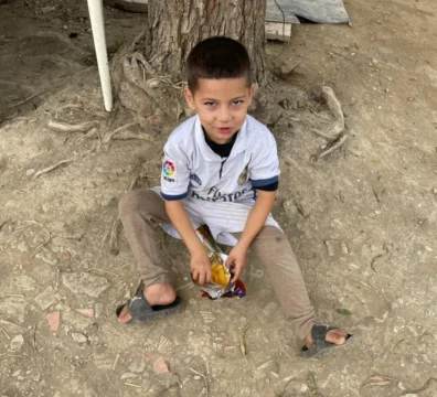 8-colis allementaire